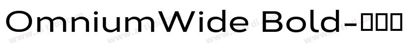 OmniumWide Bold字体转换 OmniumWide Bold字体转换